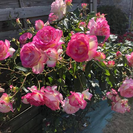 Les hortensias Grand-Fougeray Exterior foto